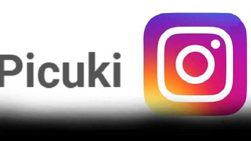 picuki alternative